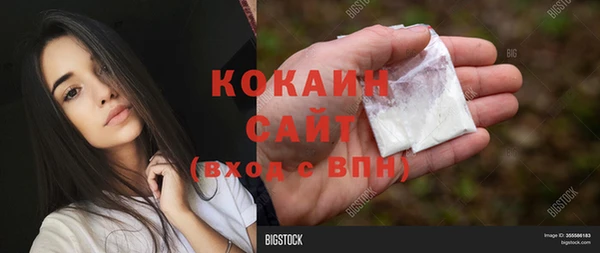 ешки Володарск